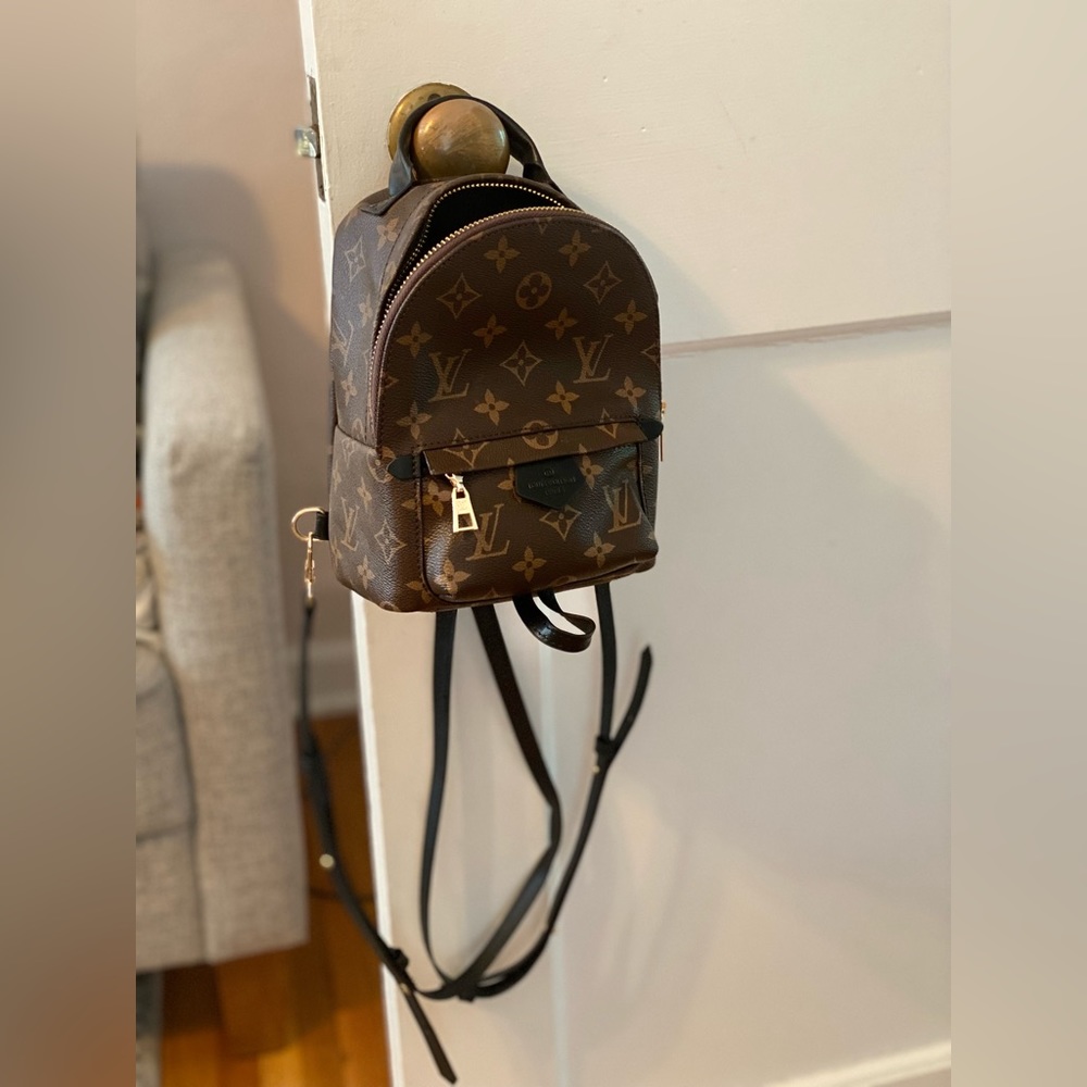 Louis Vuitton Palm Springs Small Backpack